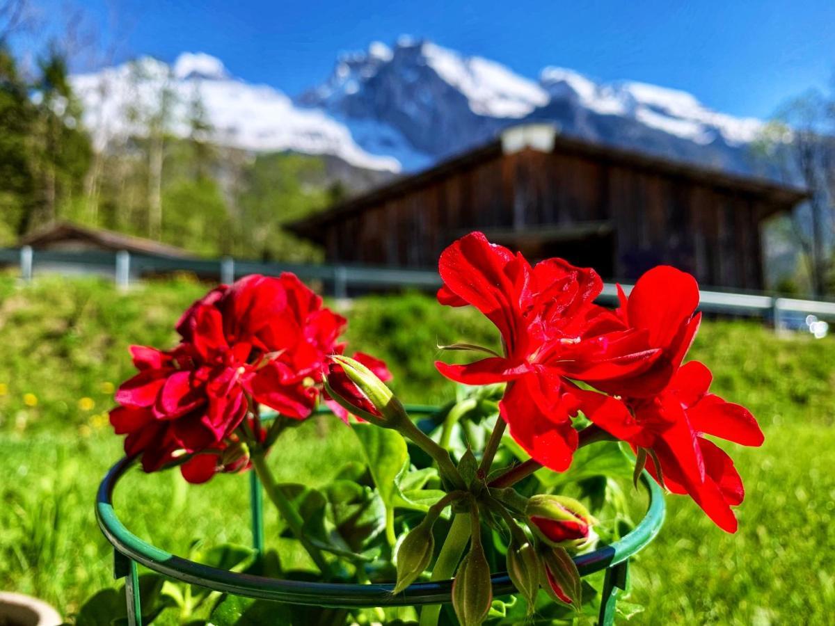 Büelbad - Relax Holiday Apartment Kandersteg Dış mekan fotoğraf