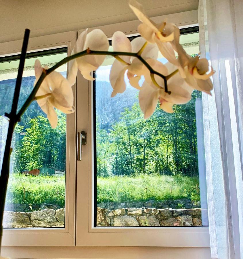 Büelbad - Relax Holiday Apartment Kandersteg Dış mekan fotoğraf